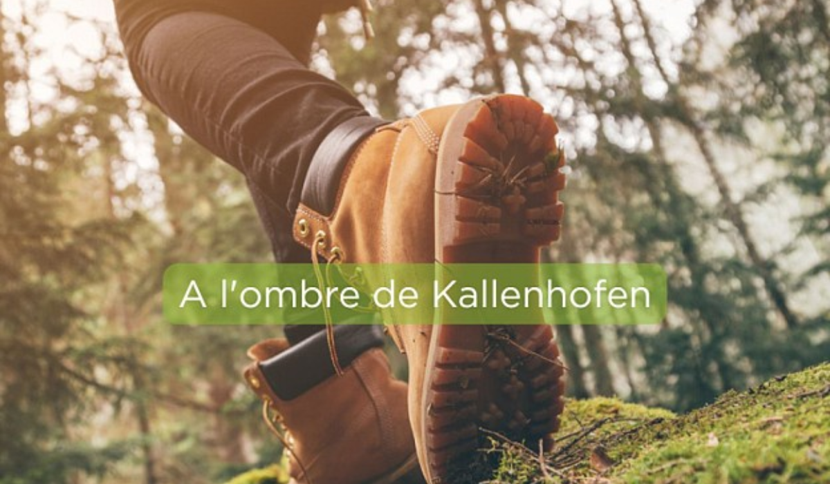 Design sans titre (29)